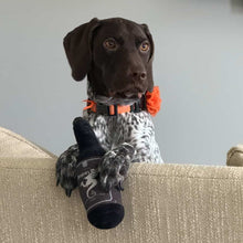 Load image into Gallery viewer, Dog holding a toy on a couch with a neutral background