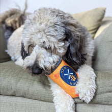 Load image into Gallery viewer, Tangerine Space Machine Dog Toy