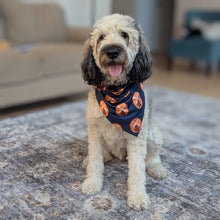 Load image into Gallery viewer, New Holland Brewing Co. Pet Bandana