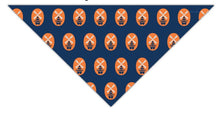 Load image into Gallery viewer, New Holland Brewing Co. Pet Bandana